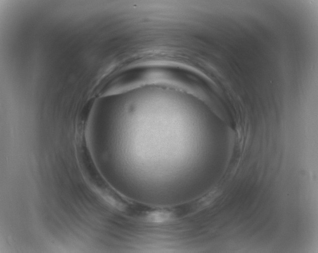 X0000083040168200702021201