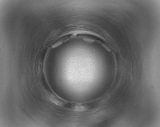 X0000083040169200702021201