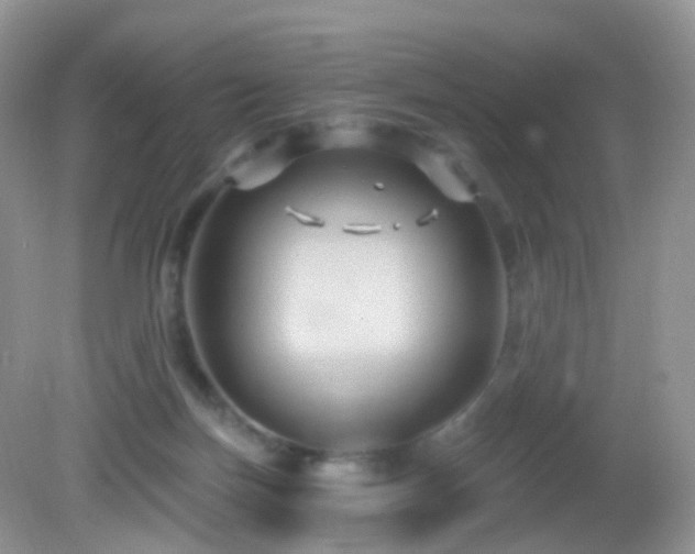 X0000083040171200702021201