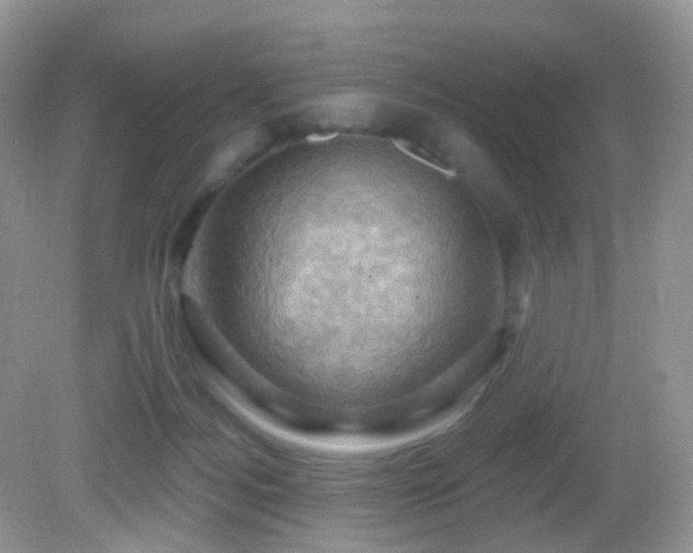 X0000083040172200702021201