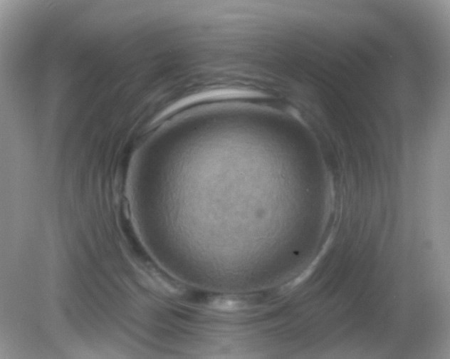 X0000083040174200702021201