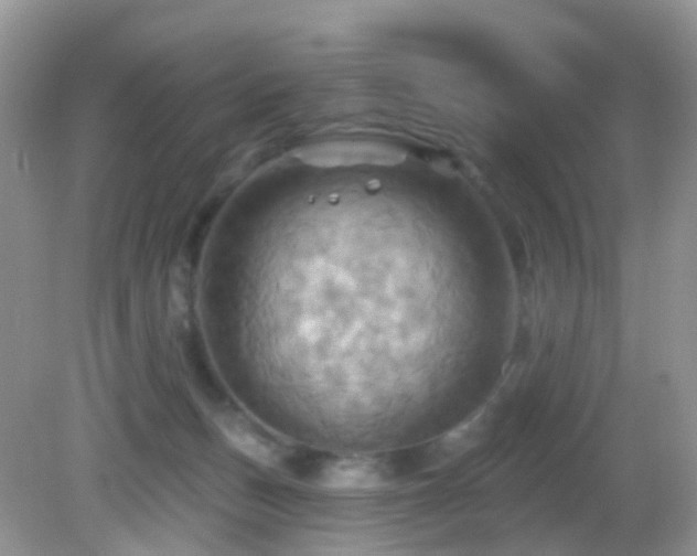 X0000083040175200702021201