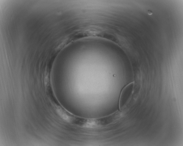 X0000083040177200702021201