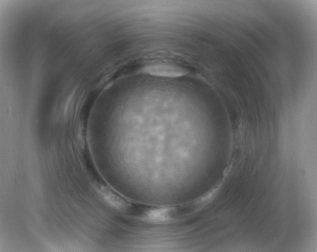 X0000083040178200702021201