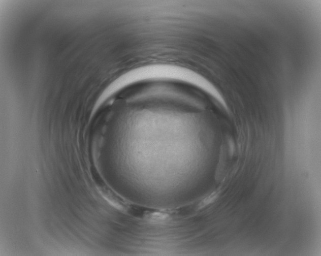 X0000083040180200702021201