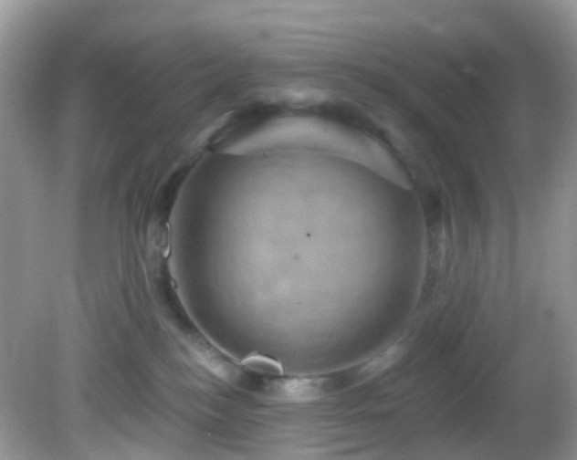 X0000083040184200702021201