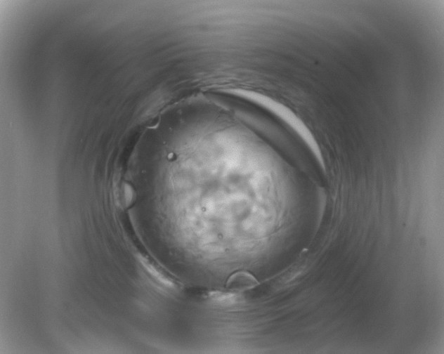 X0000083040185200702021201