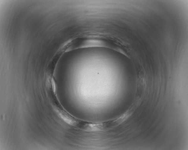 X0000083040188200702021201