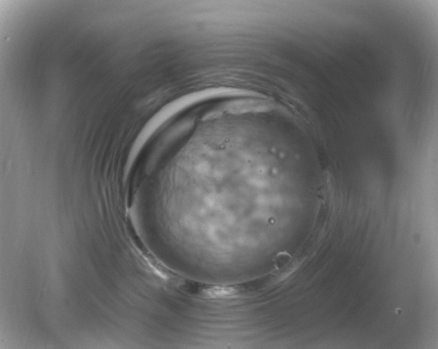 X0000083040189200702021201