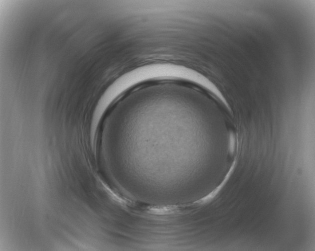 X0000083040190200702021201