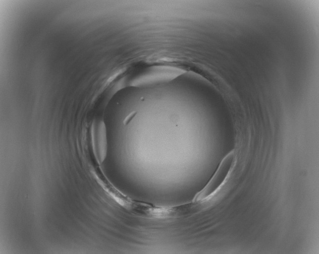 X0000083040192200702021201