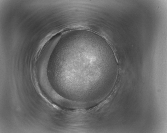 X0000083040193200702021200