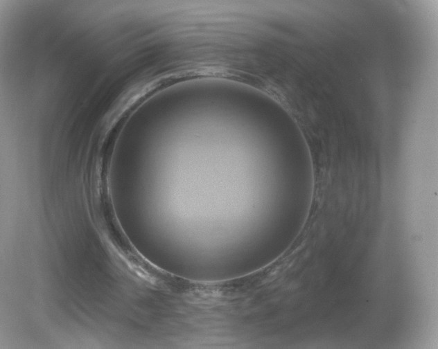 X0000083040194200702021200