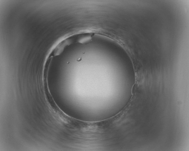 X0000083040196200702021200