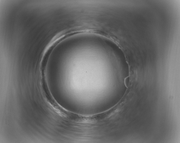 X0000083040198200702021200