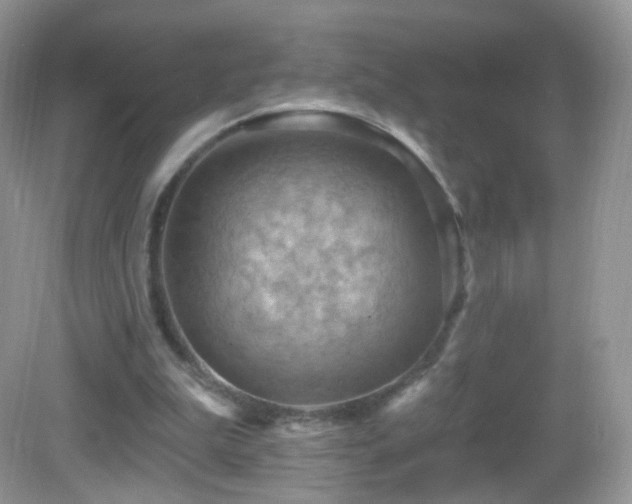 X0000083040199200702021200