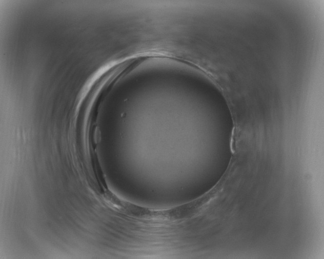 X0000083040200200702021200