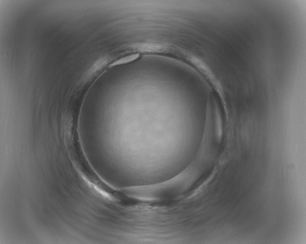 X0000083040201200702021200