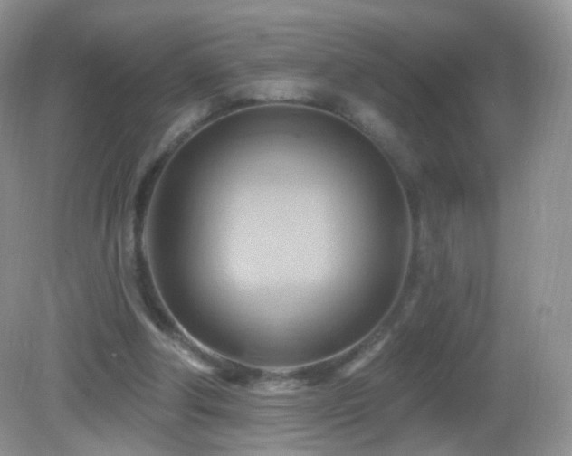 X0000083040202200702021200