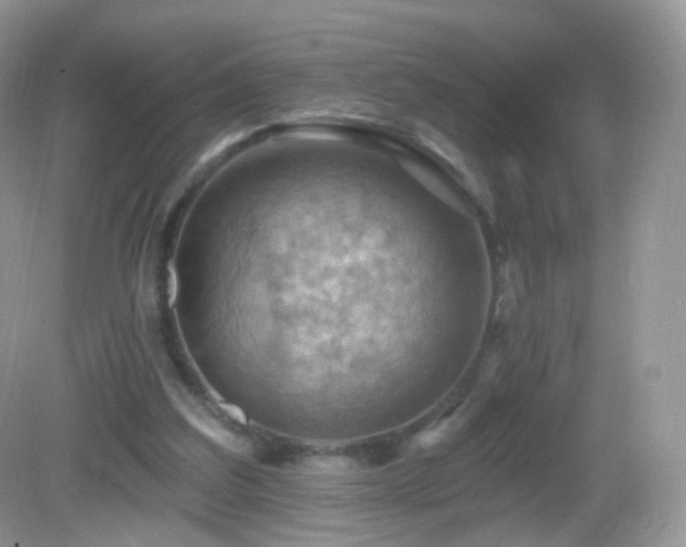 X0000083040203200702021200