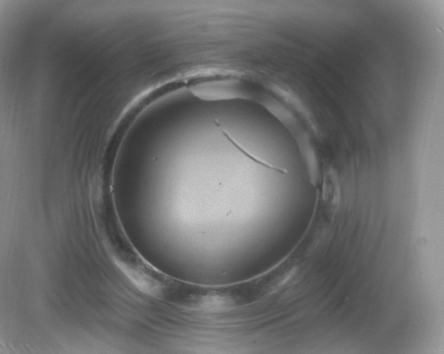 X0000083040204200702021200