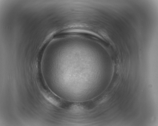 X0000083040207200702021200