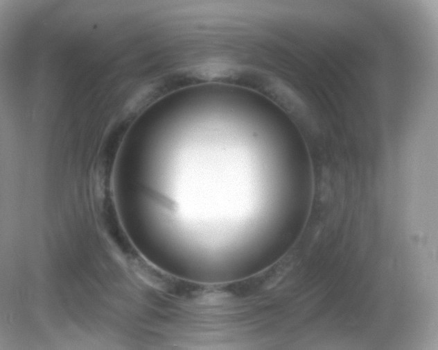 X0000083040210200702021200