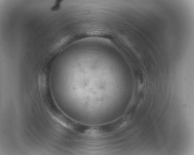 X0000083040211200702021200