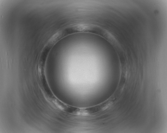 X0000083040214200702021200