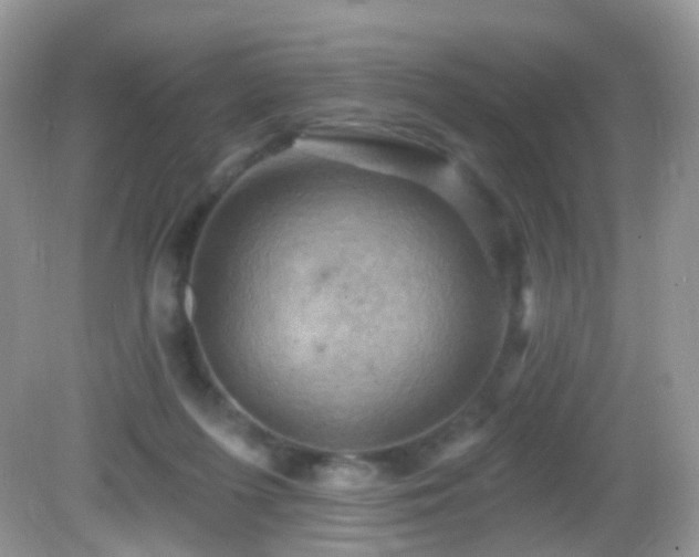 X0000083040215200702021200