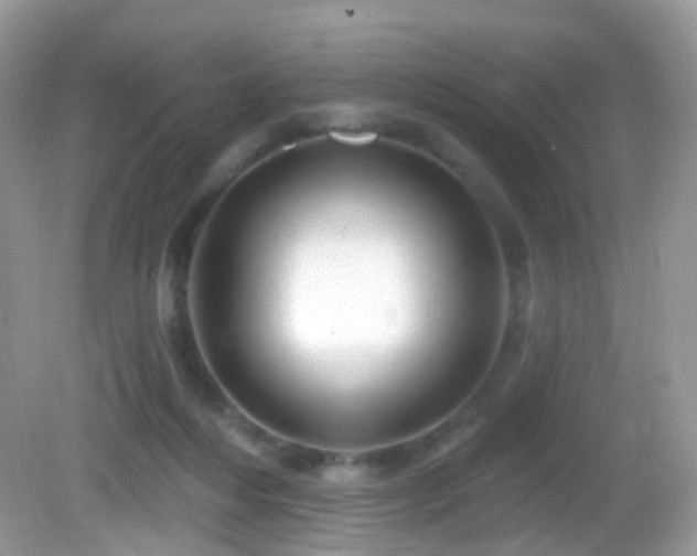 X0000083040216200702021200