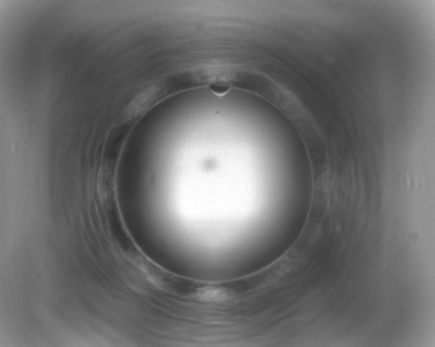 X0000083040218200702021200