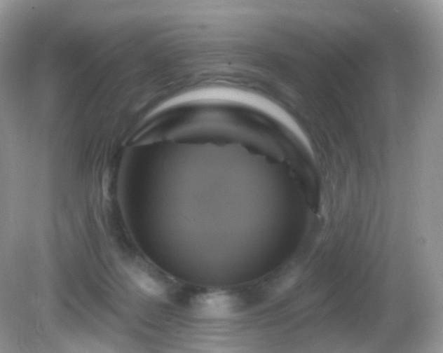 X0000083040219200702021200