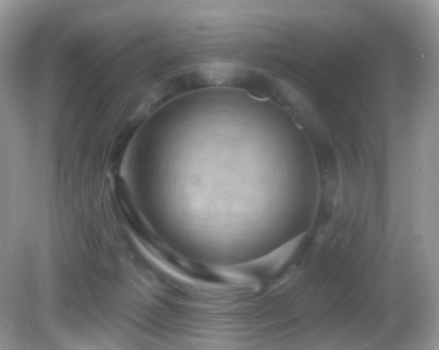 X0000083040221200702021200