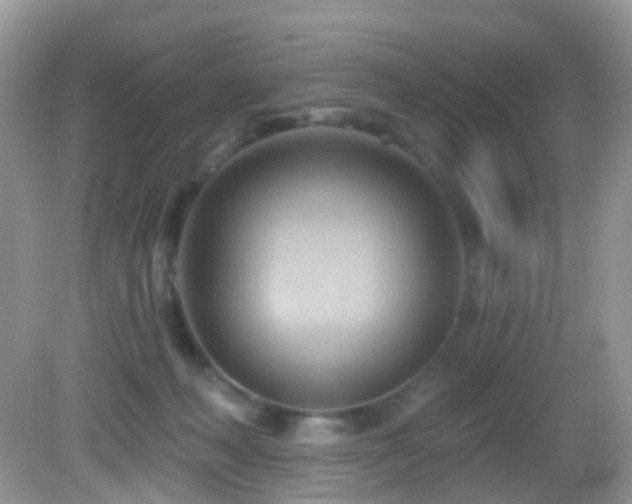 X0000083040222200702021200