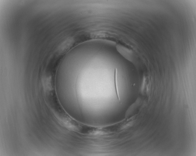 X0000083040224200702021200