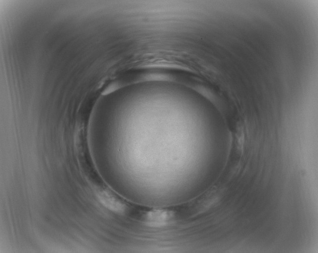 X0000083040225200702021200