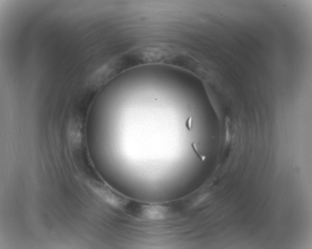 X0000083040226200702021200