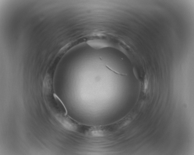 X0000083040228200702021200