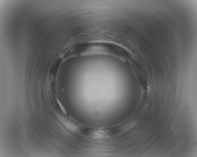 X0000083040229200702021200