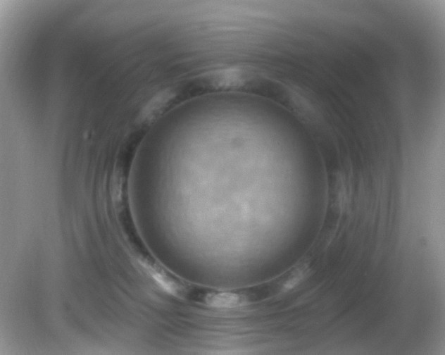 X0000083040230200702021200