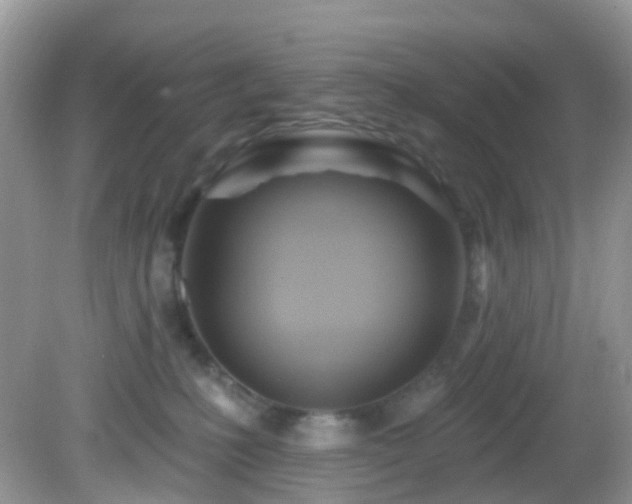 X0000083040231200702021200