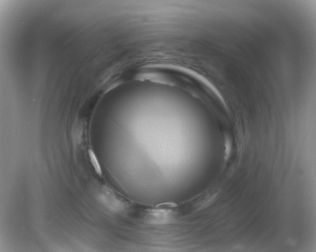 X0000083040233200702021200