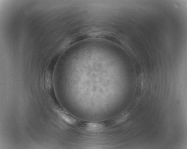 X0000083040234200702021200