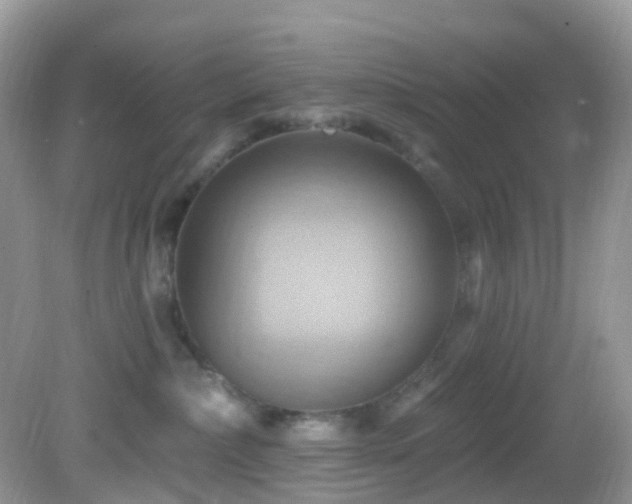 X0000083040236200702021200