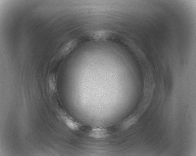 X0000083040240200702021200