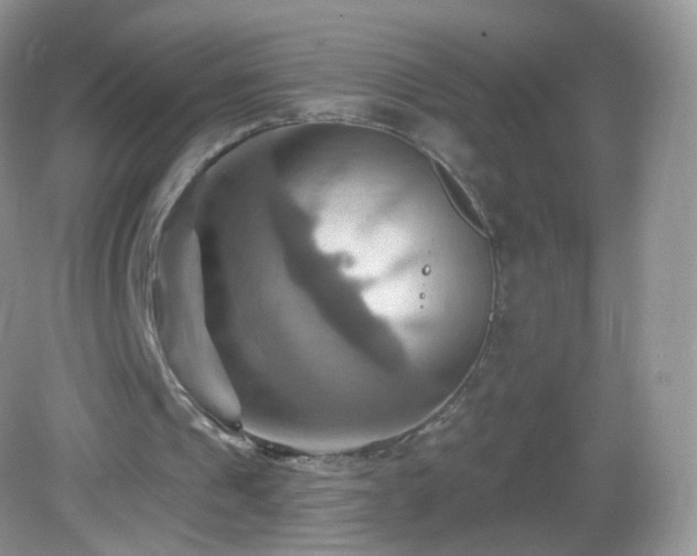 X0000083040241200702021159