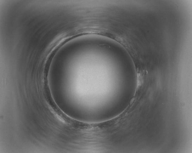 X0000083040243200702021159