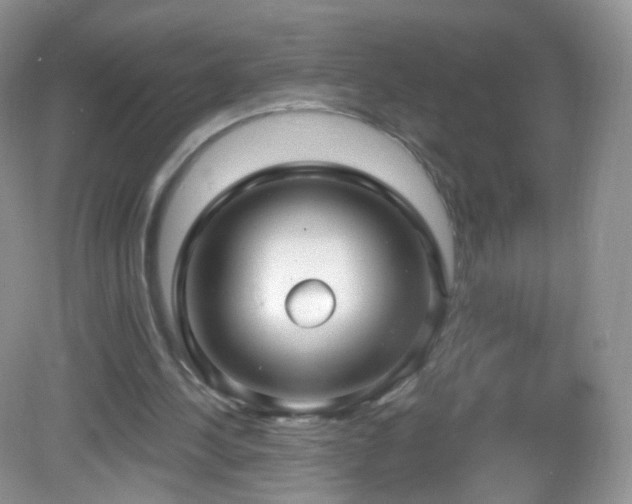 X0000083040244200702021159