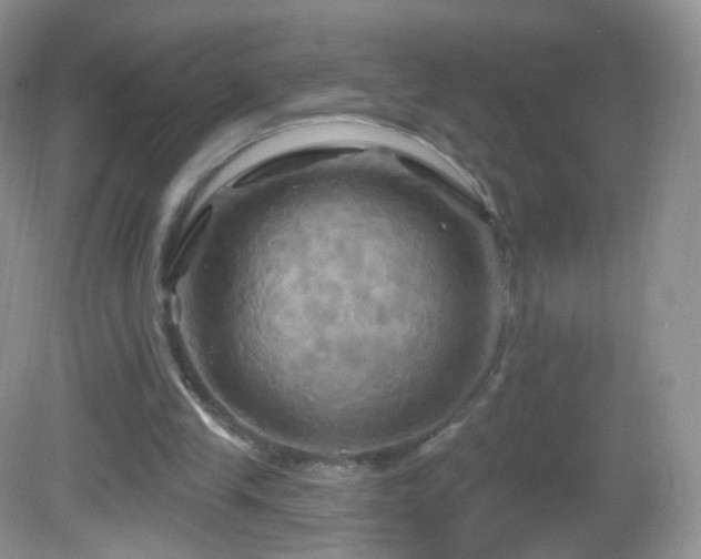 X0000083040245200702021159